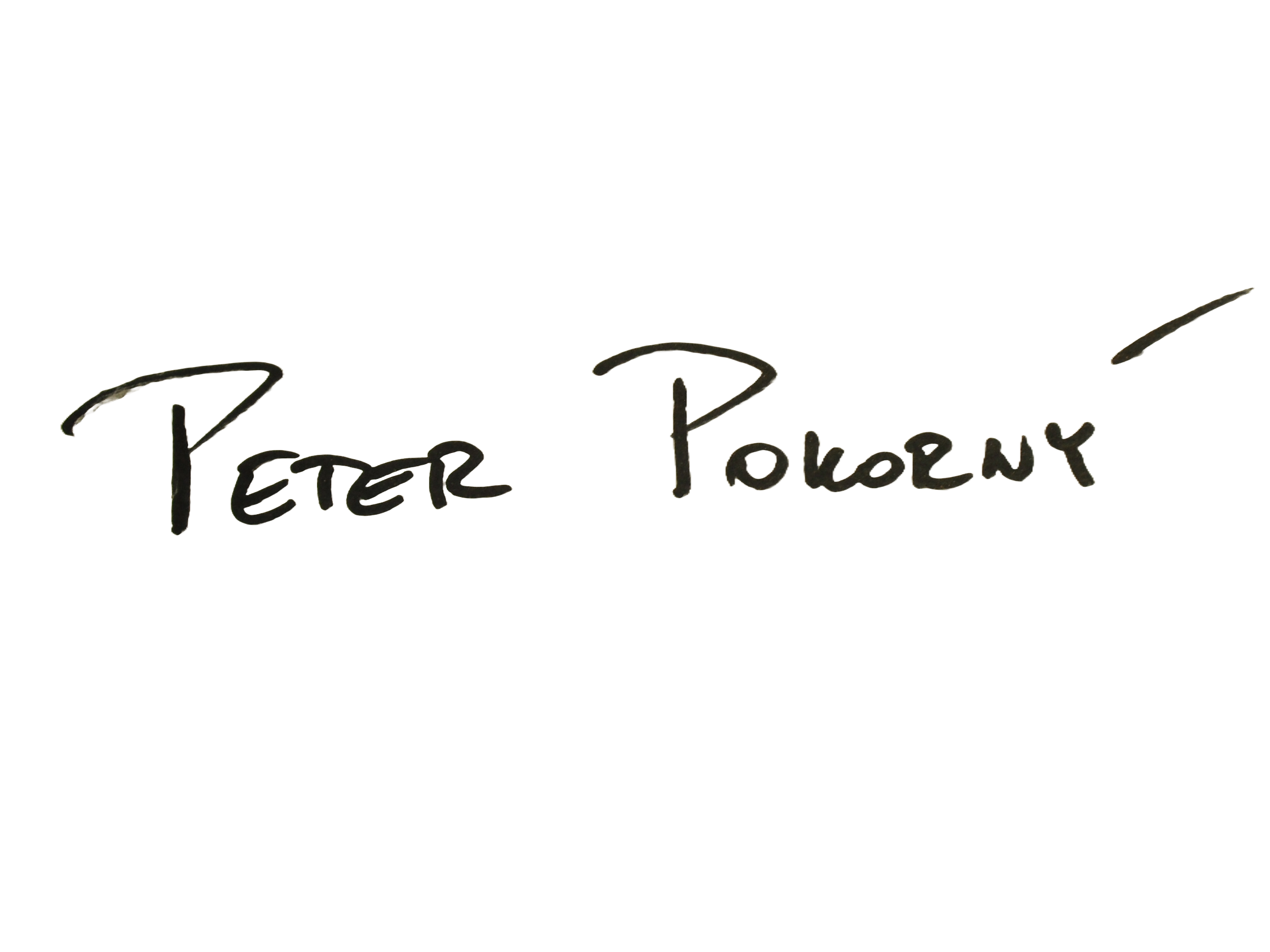 Adobe Express - file